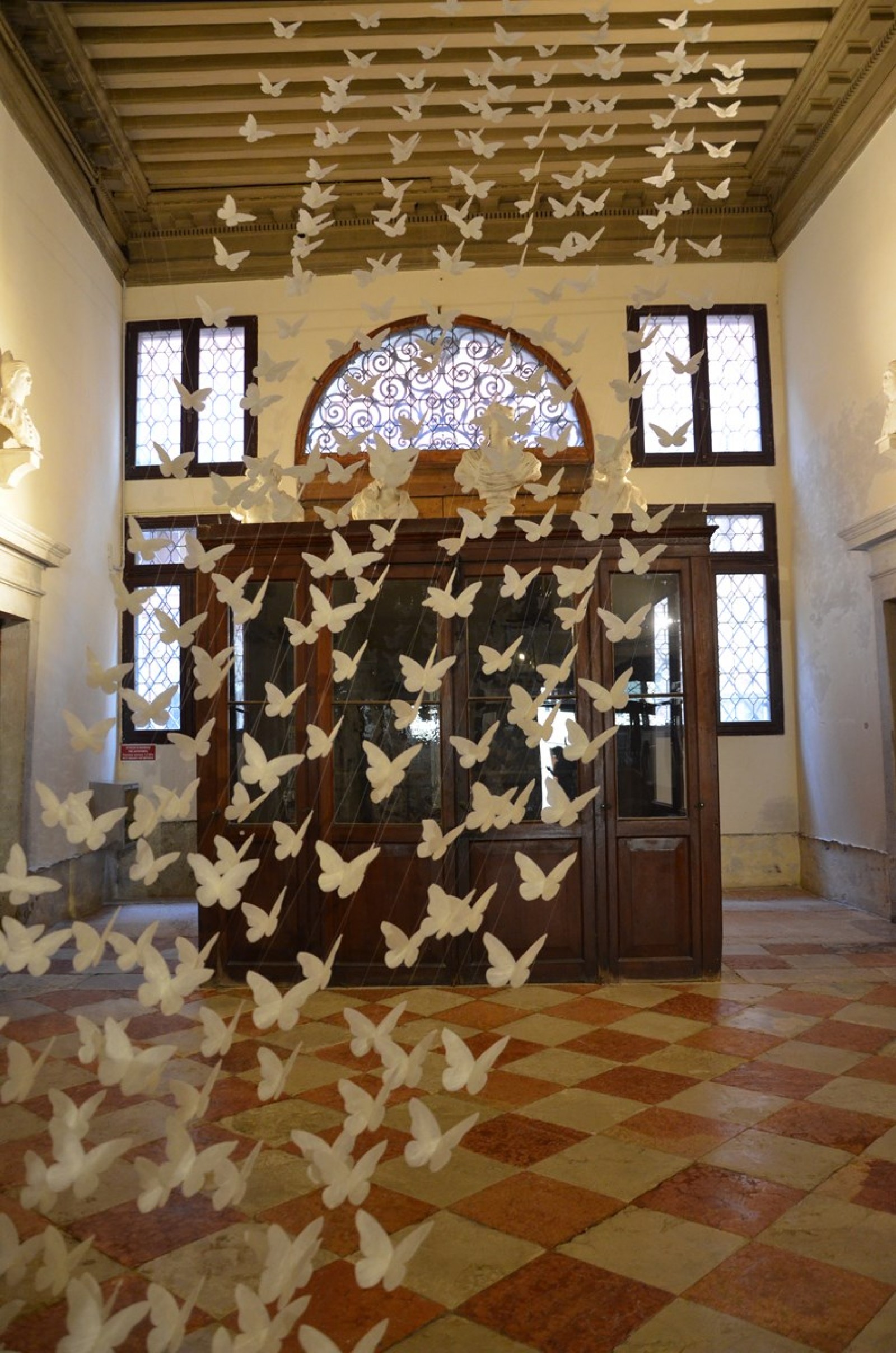 Miniartextil, Kimura