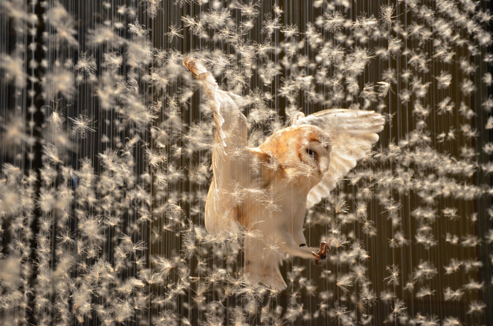 Miniartextil 2012