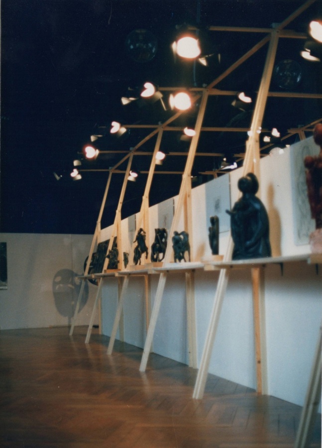 ALLESTIMENTO MOSTRA GIUSEPPE TAVANI - Palazzo del Broletto, Como